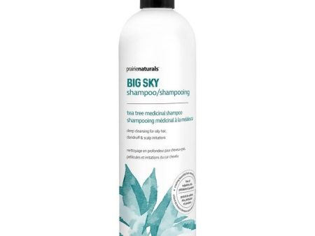 Prairie naturals - big sky tea tree 
shampoo - 500 ml Online