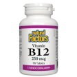 Natural factors - vitamin b12 250 mcg Hot on Sale