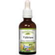 Natural factors - valerian 250mg - 50ml Fashion