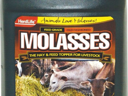 Evolved - Molasses Livestock Fashion