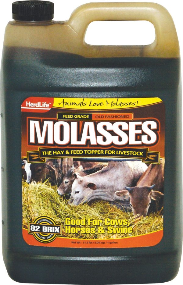 Evolved - Molasses Livestock Fashion