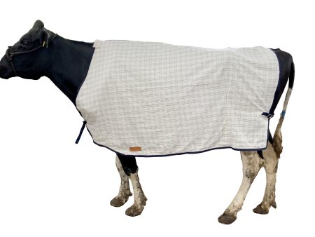 Summer Cow Cover | Travel, Show & Fly Protection For Discount