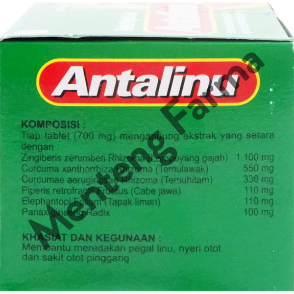 Antalinu 2 Tablet - Meredakan Pegal Linu & Nyeri Otot Online Sale