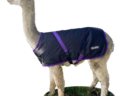 Alpaca Coat | Waterproof Discount