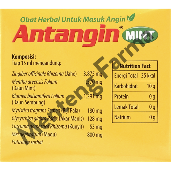 Antangin Mint 12 Sachet - Sirup Masuk Angin, Meriang, Mual, Pusing Online Hot Sale