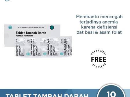 Tablet Tambah Darah Erela 10 Tablet - Suplemen Zat Besi dan Asam Folat For Cheap