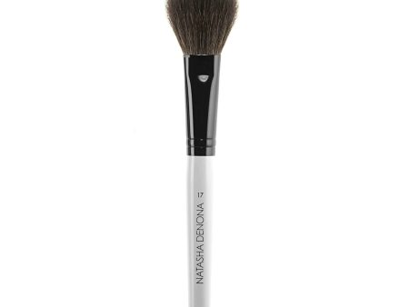 NO. 17 BLUSH BRUSH - מברשת סומק מס  17 For Sale