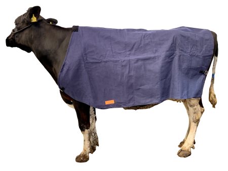 Canvas Cow Cover | Wool Lined Discount