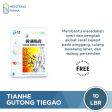 Tianhe Gutong Tiegao (Koyo) Sachet Isi 5 Lembar Cheap