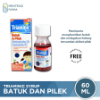 Triaminic Syrup Batuk dan Pilek (Rasa Berry) Online